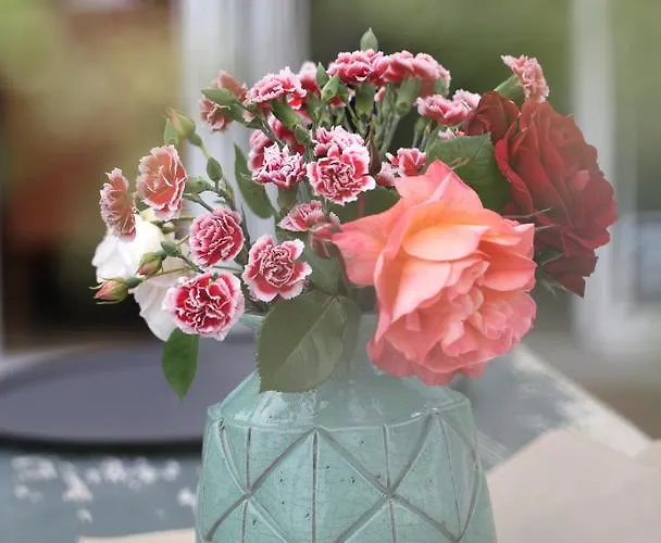 Sur La Marennes (Charente-Maritime)